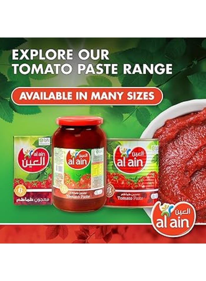 العين عبوة طماطم معجون العين 370 جرام × 24 - Image 3